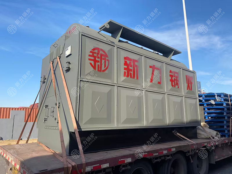 新力DZH生物質熱水鍋爐：綠色能源的可靠選擇，助力高效環保